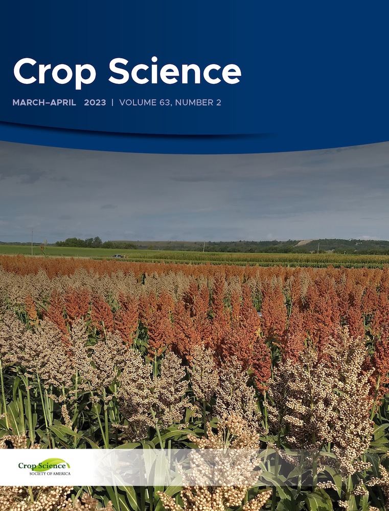 Performance of tetraploid bio-fortified potato clones in Rwanda