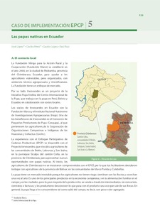 Las papas nativas en Ecuador.