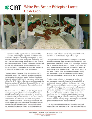 White pea beans: Ethiopia's latest cash crop