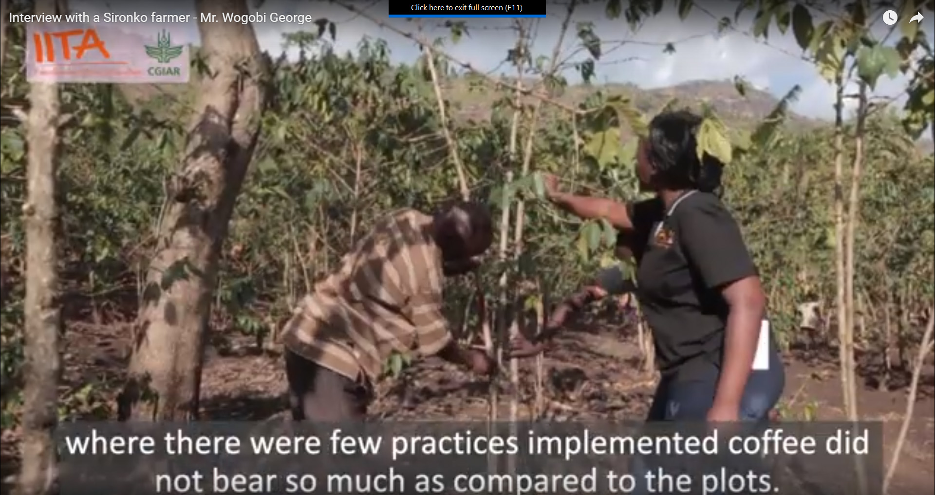 Interview with a Sironko farmer - Mr. Wogobi George