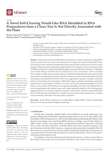 A novel self-cleaving viroid-like RNA identified in RNA preparations from a citrus tree is not directly associated with the plant