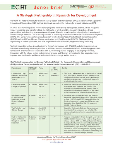 Federal Ministry for Economic Cooperation and Development (BMZ) and the Deutsche Gesellschaft für Internationale Zusammenarbeit (GIZ): a strategic partnership in research for development