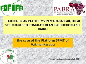 Regional bean platforms in Madagascar, local structures to stimulate bean production and trade: the case of the platform SFMT of Vakinankaratra