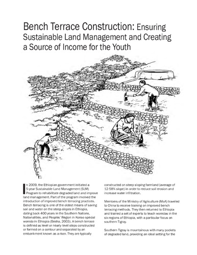 Conserving soils: Bench terrace construction: Ensuring sustainable land management and creating a source of income for the youth