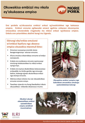 Okuwakisa embizzi mu nkola ey’okukozesa empiso