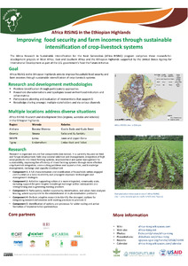 Africa RISING in the Ethiopian Highlands: Improving food security and farm incomes through sustainable intensification of crop-livestock systems