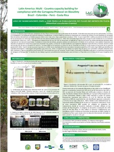 Uso de marcadores SNPs y SSR para la evaluación de flujo de genes en yuca (Manihot esculenta Crantz)
