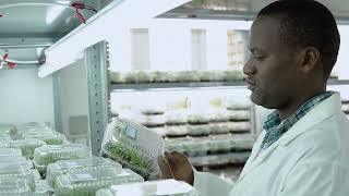 IITA supports the introduction of Semi Autotrophic Hydroponic (SAH) laboratory in Rwanda