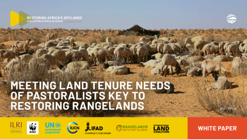 Meeting land tenure needs of pastoralists key to restoring rangelands
