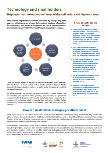 Technology and smallholders: helping farmers to future-proof crops with satellite data and high-tech seeds.