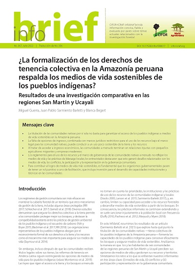 ¿La formalización de los derechos de tenencia colectiva en la Amazonía peruana respalda los medios de vida sostenibles de los pueblos indígenas? Resultados de una investigación comparativa en las regiones San Martín y Ucayali
