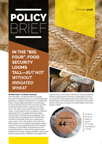 In the "Big Four", food security looms tall - but not without irrigated wheat