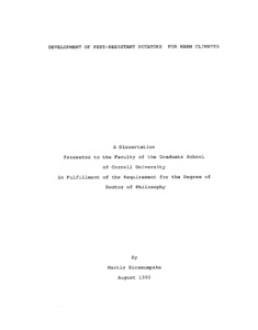 Development of pest-resistant potatoes for warm climates