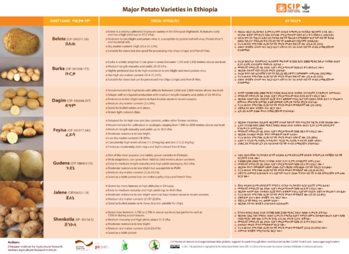 Major Potato Varieties in Ethiopia