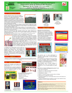 Baculovirus : Un nuevo producto biológico específico para el control del gusano cachón de la yuca (Erinnys ello)