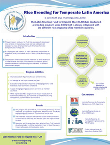 Rice breeding for temperate Latin America
