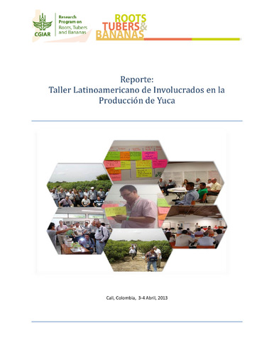 Taller latinoamericano de involucrados en la producción de yuca (3-4 Abril 2013, Cali, Colombia).