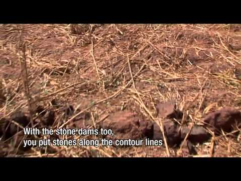 Ganame Adama - Ninigui (Yatenga Province), Burkina Faso