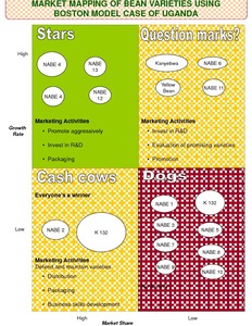 Market mapping of bean varieties using Boston model case of Uganda