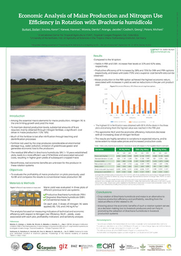 Economic analysis of maize production and nitrogen use efficiency in rotation with Brachiaria humidicola