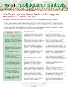 Café Mesoamericano: desarrollo de una estrategia de adaptación al cambio climático