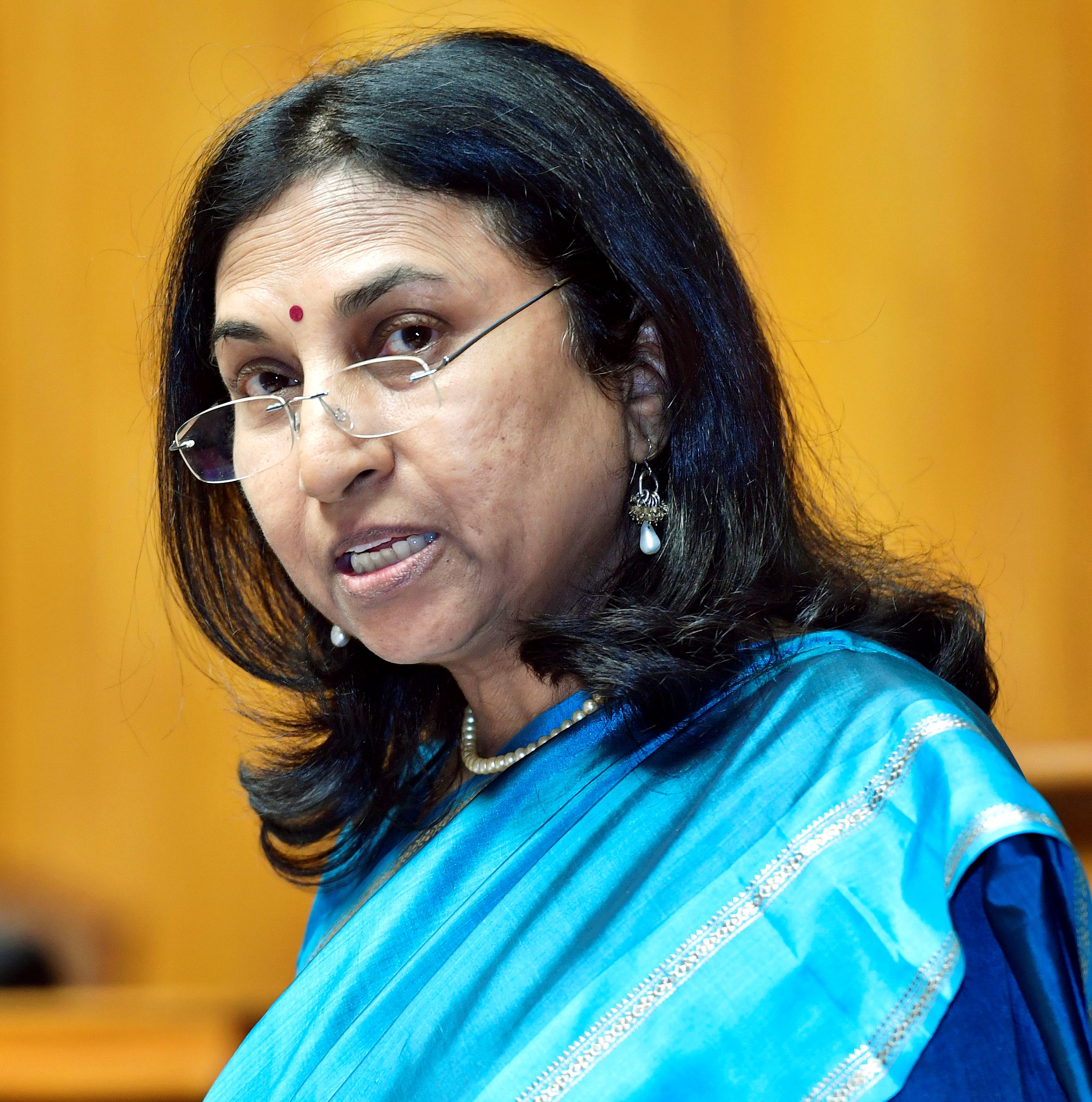 Bina Agarwal, Univerity of Manchester