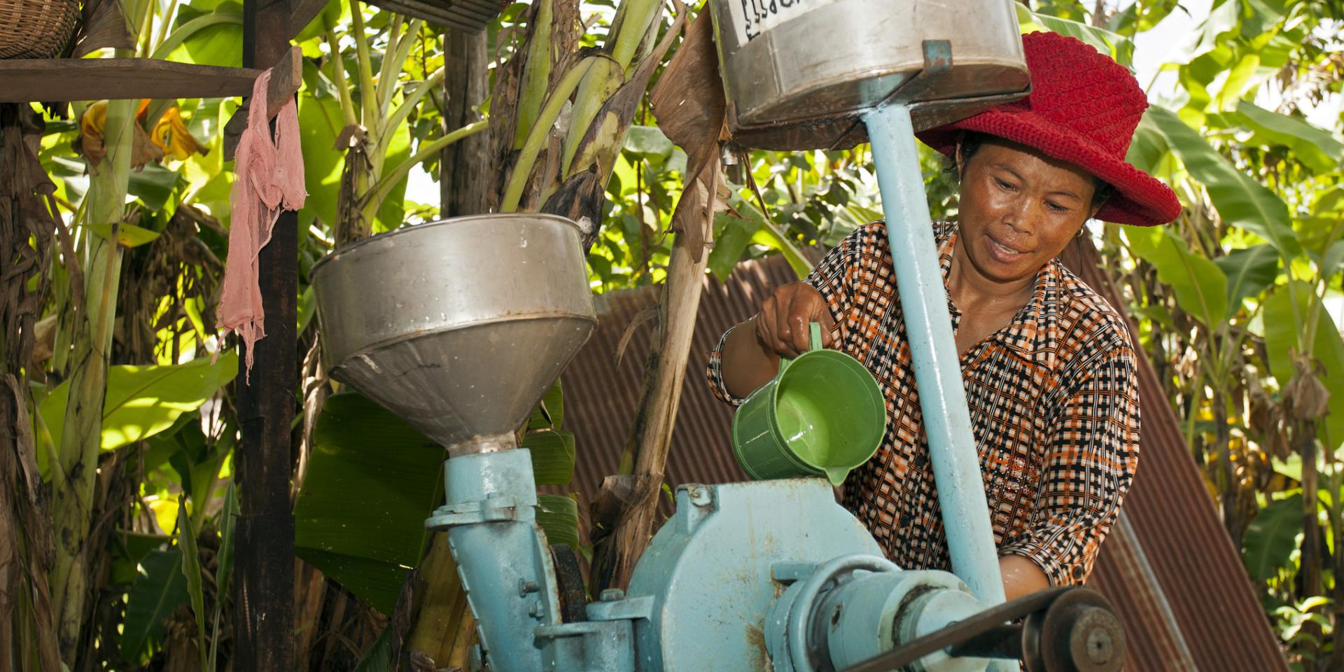 Milo Mitchell / IFPRI