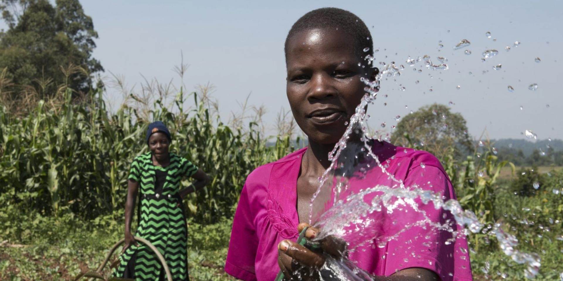 Women watering plants