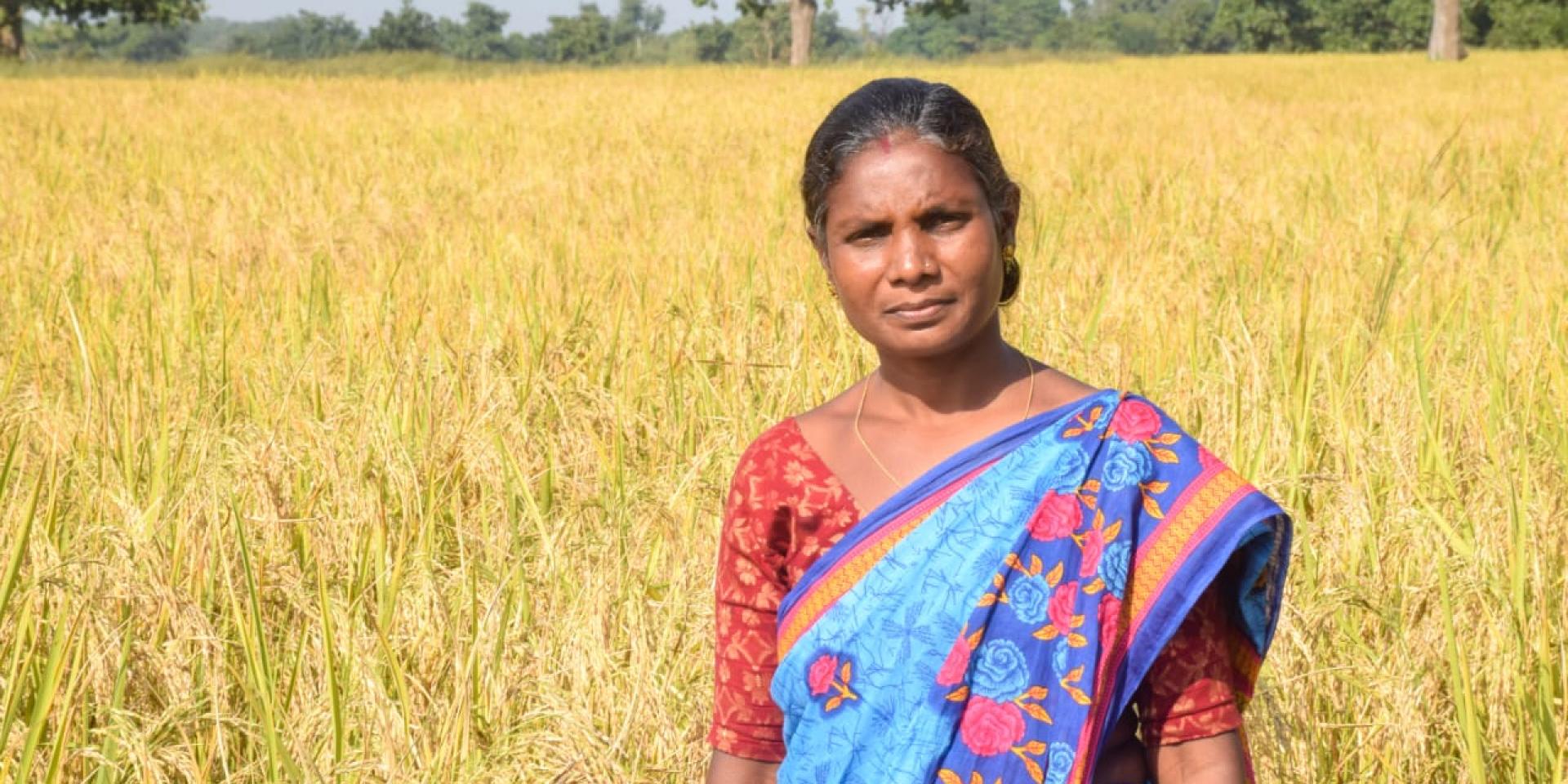 Malho Marndi on her DSR Plot