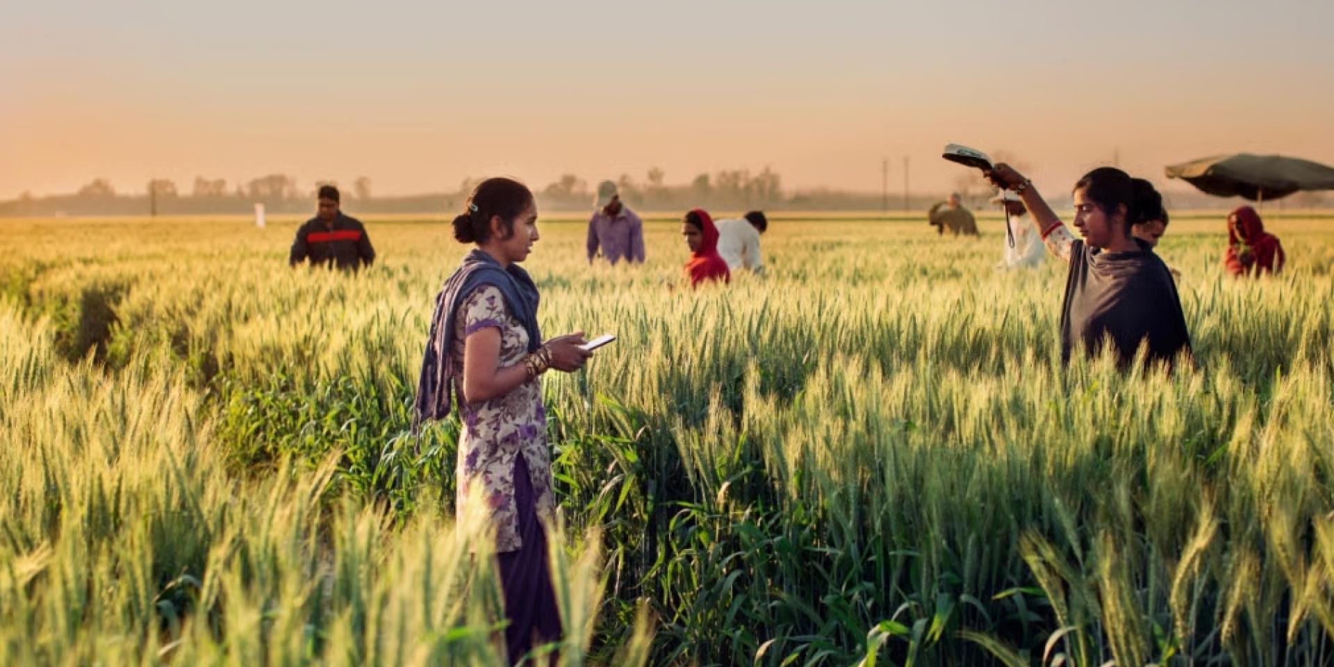 Photo: Dalit Singh / Feed The Future