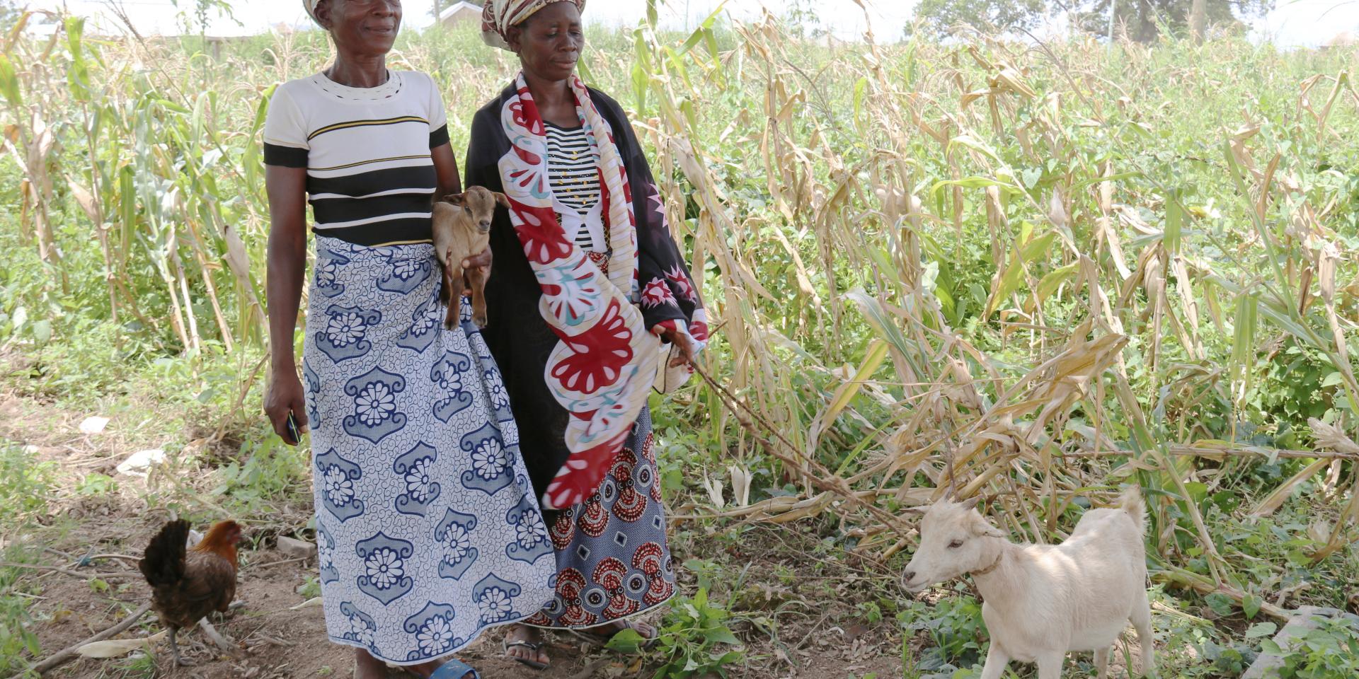Women with farm animals