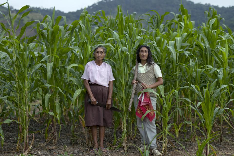 Women and agriculture