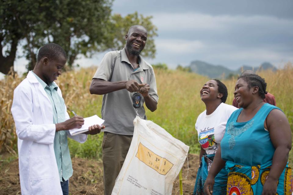 The International Potato Center has helped boost yields of over 25,000 women in Malawi in the last 2 years. Not only do they have access to clean, disease-free planting material, by working as a group they learn off each other and have access to greater markets.     Photo: Hugh Rutherford for CIP