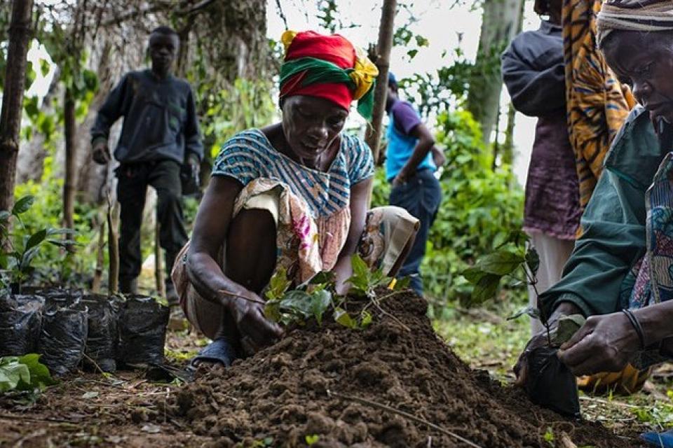 A group of people working in a field
