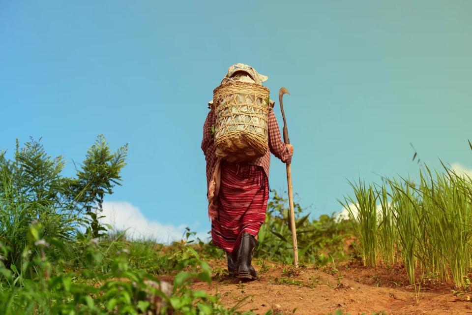 Woman carrying knife walks up the mountain