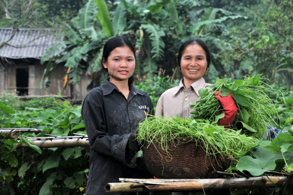 Following the chayote market chain in Hua Bin province, NW Vietnam.