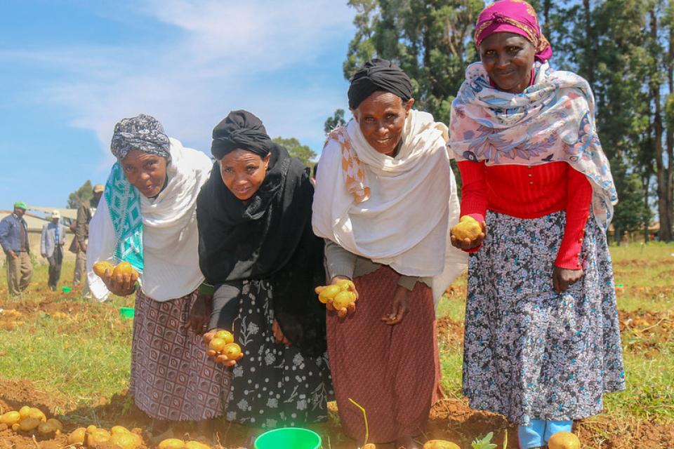 Women holding potatoes in a field