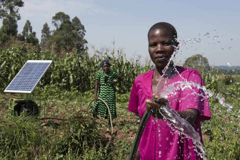 Irrigating a farm using solar-powered water pump, Kenya.