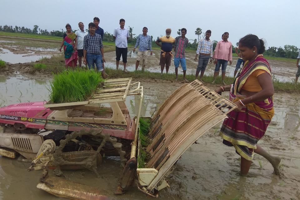 A women learning mechanical transplanting at Puri_Odisha