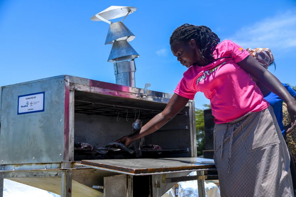 Woman placing fish inside metal smoking kiln