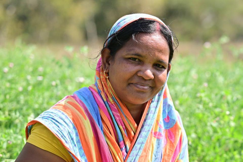 Grass Pea Production in Odisha