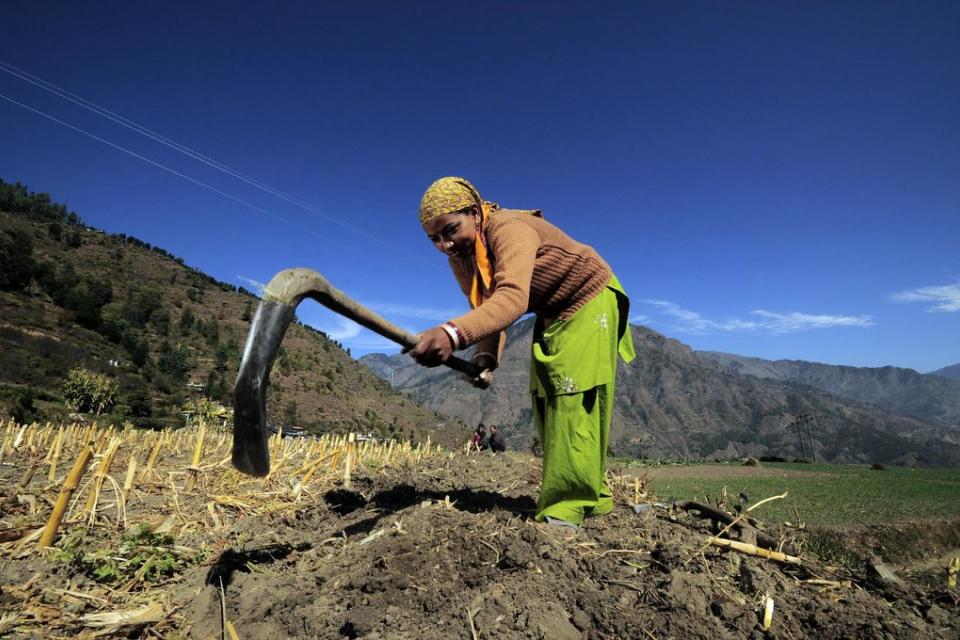 A farmer at work near Bejling village, Himachal Pradesh, India.
