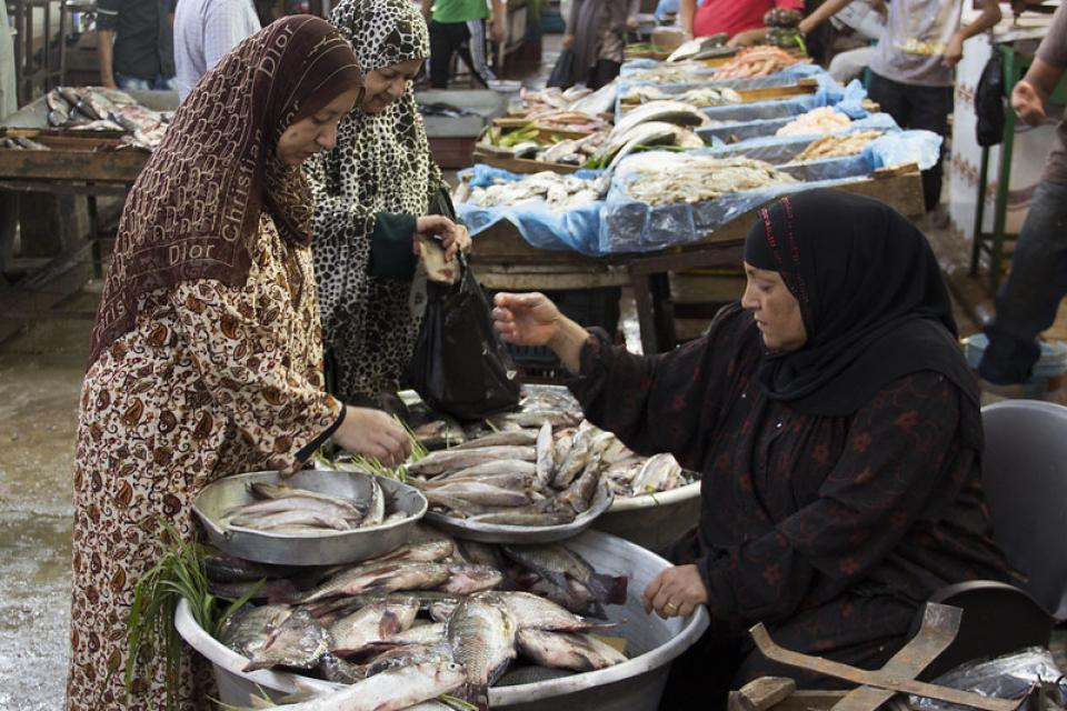 Women selling fish