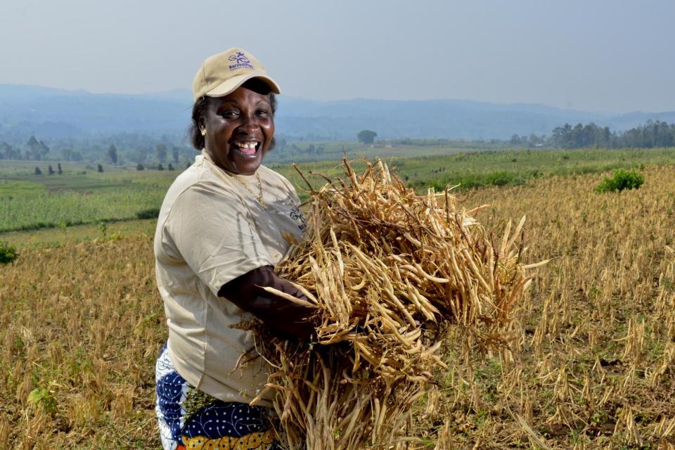 HarvestPlus work on biofortified beans in east DR Congo.     Credit: ©2013CIAT/NeilPalmer