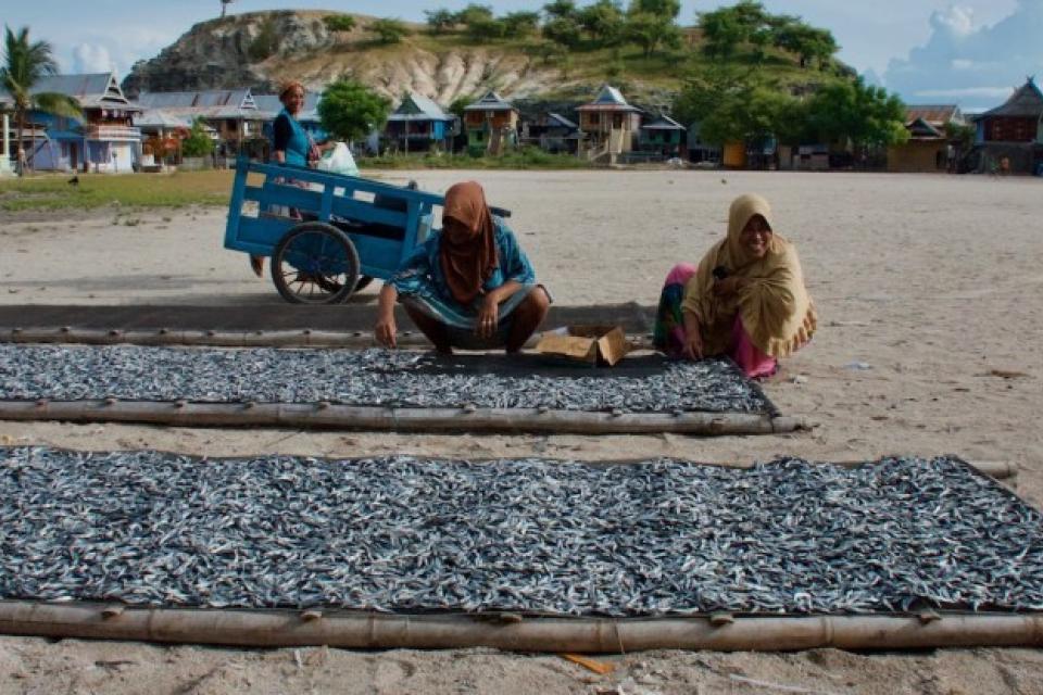Women drying fish