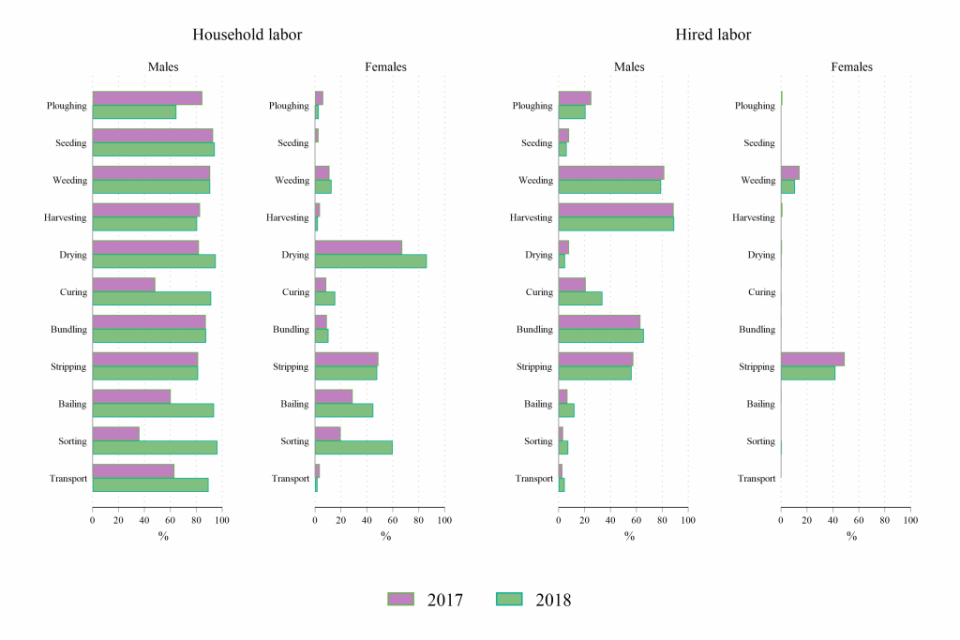 Gender segmentation of tasks in jute production