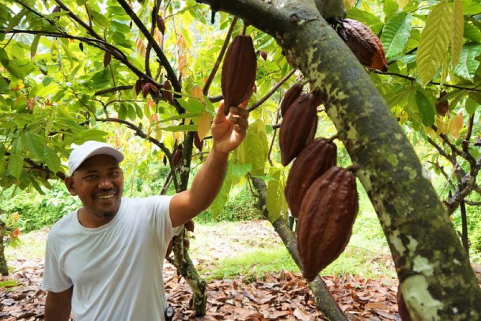 Forest community. Photo: ICRAF.