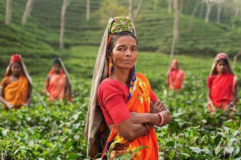 CGIAR, MANAGE join forces to bridge gender gap in agriculture