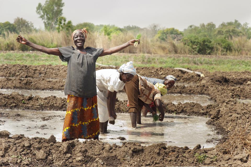 Photo of women in Ghana