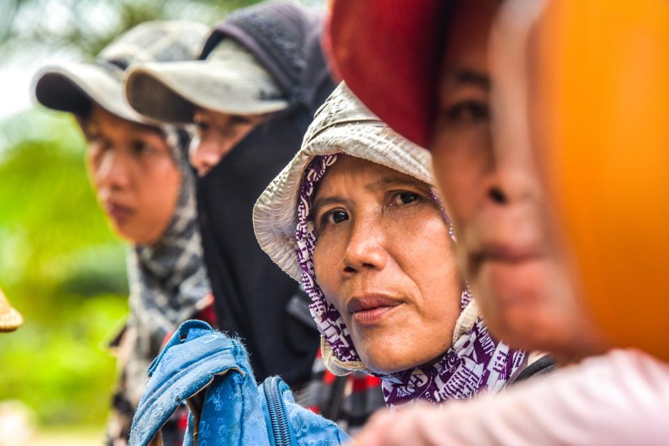 Women working in oil palm, Indonesia